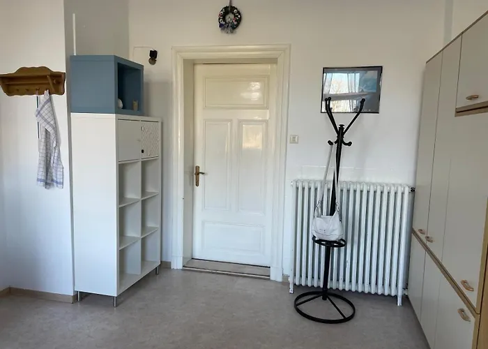 Schroeders Hasselhoff