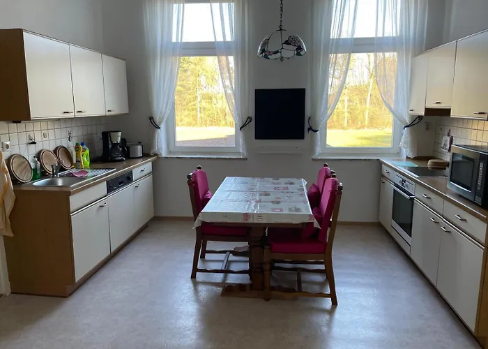 Schroeders Hasselhoff